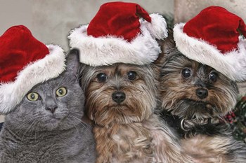 Santa&#39;s Helpers by Liz Zernich art print