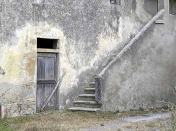 Trip 2 by Liz Zernich art print