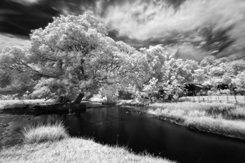 Amorsolo by Michael de Guzman art print