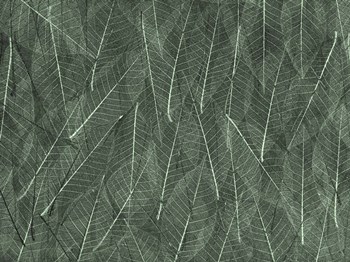 Leaves 1 Green by Moises Levy art print