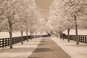 Fence &amp; Trees #2, Kentucky 08 by Monte Nagler art print