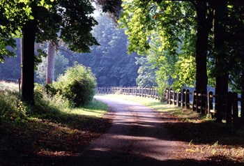 Path Into the Woods, Burgandy, France 99 by Monte Nagler art print