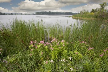 St. Joseph River #2, Centreville, Michigan 10 by Monte Nagler art print