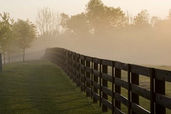 Morning Mist &amp; Fence, Kentucky 08 by Monte Nagler art print