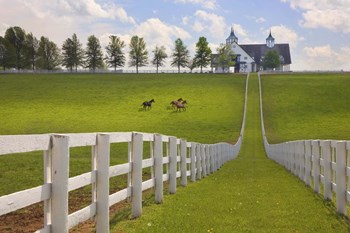 Manchester Farm, Kentucky 08 by Monte Nagler art print