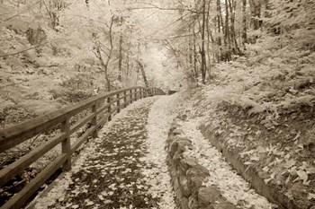 Fence &amp; Pathway, Munising, Michigan 12 by Monte Nagler art print