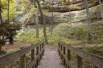 Bridge In The Canyon by Monte Nagler art print