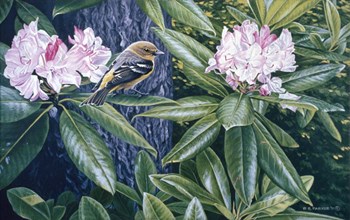 Scarlet Tanager In The Rhodos by Ron Parker art print