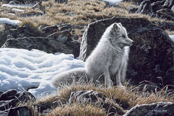 Northern Morning by Ron Parker art print