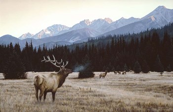 Autumn Meadow by Ron Parker art print