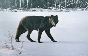 Winter Morning by Ron Parker art print