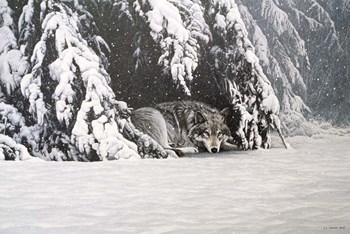 Waiting Out The Storm by Ron Parker art print