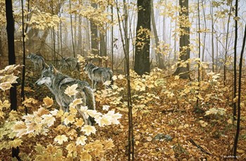Autumn Maples - Wolves by Ron Parker art print