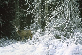 Snow Palace - Mule Deer by Ron Parker art print