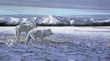 First Snow - Arctic Wolves by Ron Parker art print