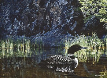 Summer - Loon by Ron Parker art print
