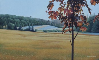 Autumn Maple by Ron Parker art print