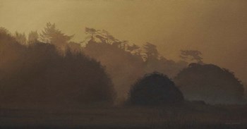 Golden Mist by Ron Parker art print