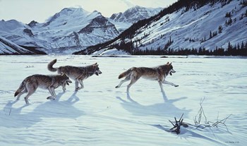 On The Run - Wolf Pack by Ron Parker art print