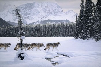 Emerald Lake by Ron Parker art print