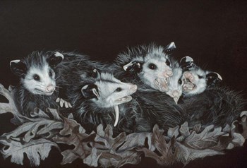 Rodents by Rusty Frentner art print