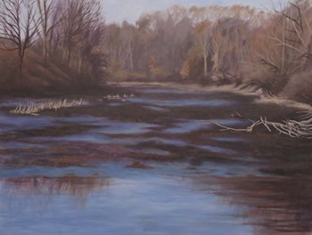 Huron River Cove by Rusty Frentner art print
