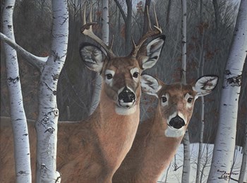 Deer Magic by Rusty Frentner art print
