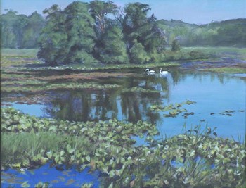 Sunday Swans by Rusty Frentner art print