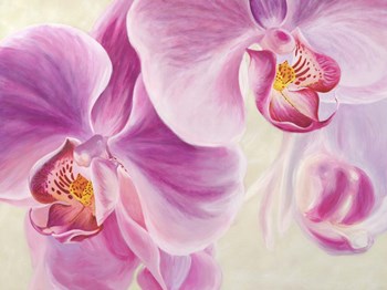 Purple Orchids by Cynthia Ann art print
