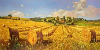 Campo in Toscana by Andrea Del Missier art print