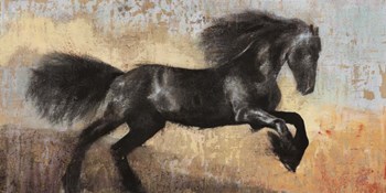 Black Stallion by Dario Moschetta art print