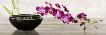 Orchid Arrangement by Shin Mills art print