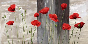 Country Poppies by Jenny Thomlinson art print