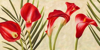 Red Callas by Jenny Thomlinson art print