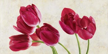 Tulip Concerto by Luca Villa art print