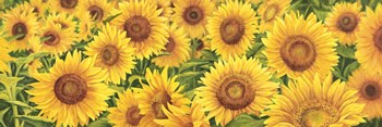Field of Sunflowers by Luca Villa art print