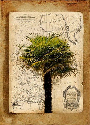 America I by Patricia Pinto art print