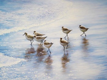 Sand Dancers by Bruce Nawrocke art print