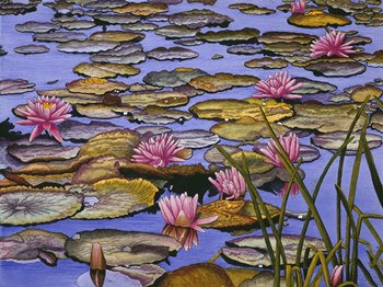 Water Lilies by Thelma Winter art print