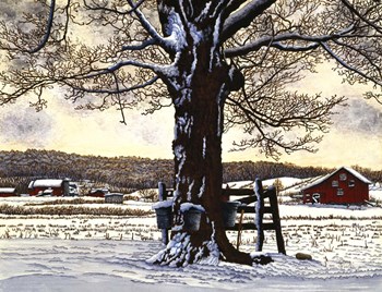 Syrup Buckets by Thelma Winter art print