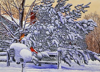 Cardinals At The Mailbox by Thelma Winter art print