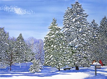 Bear Run by Thelma Winter art print