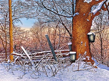 Buckets And Branches by Thelma Winter art print