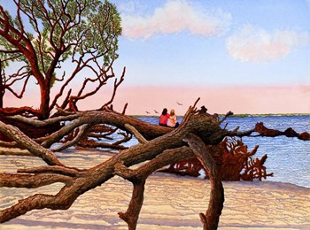 Driftwood Dreamers, Jekyll Island, Ga by Thelma Winter art print