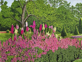 Foxglove Garden by Thelma Winter art print