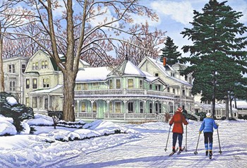 Gliding In The Snow, Chautauqua Ny by Thelma Winter art print