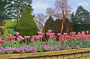 Tulips At Longwood Gardens III, Kennett Square Pa by Thelma Winter art print