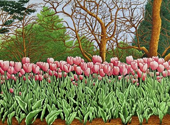 Tulips At Longwood Gardens Vi, Kennett Square, Pa by Thelma Winter art print