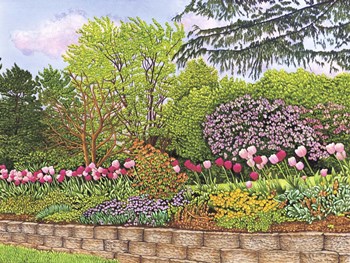 Tulips Dancing In The Breeze by Thelma Winter art print