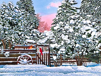 Wagon Wheel by Thelma Winter art print